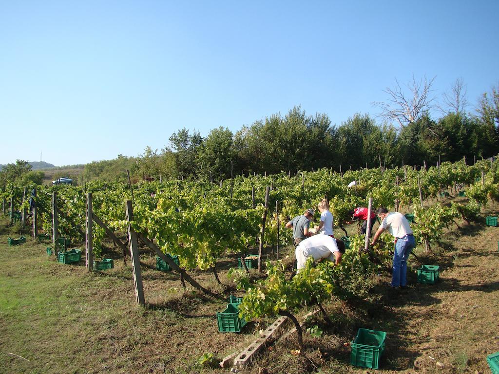 Agriturismo Sottotono Willa Carmignano Zewnętrze zdjęcie