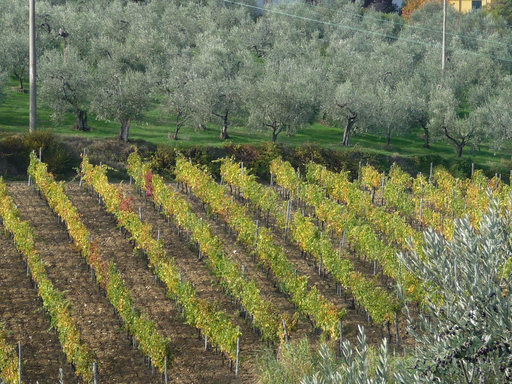 Agriturismo Sottotono Willa Carmignano Zewnętrze zdjęcie